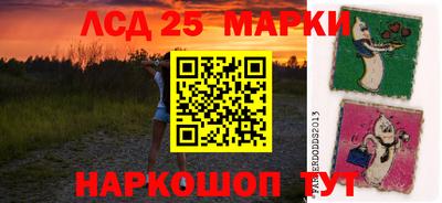 мдпв Будённовск